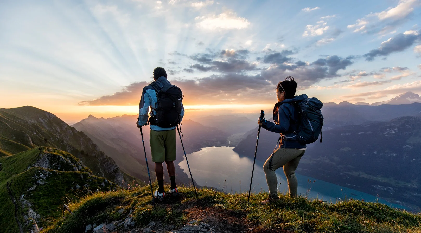 Black Diamond vs Leki vs TrailBuddy: Best Trekking Pole Brands Compared